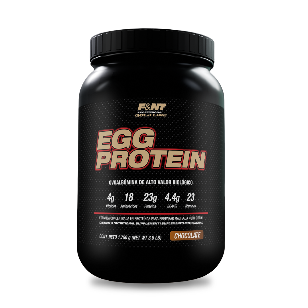 Egg Protein Chocolate