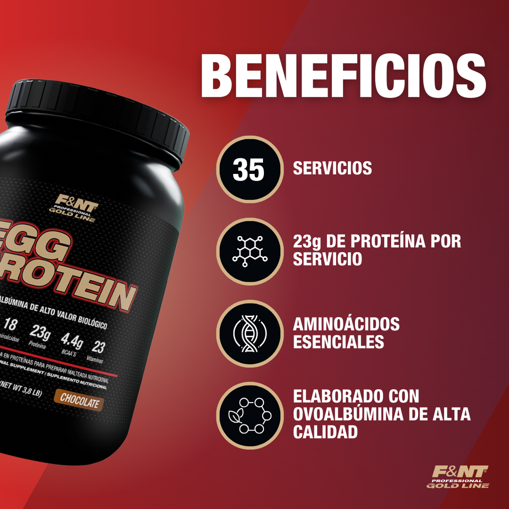 Egg Protein Chocolate