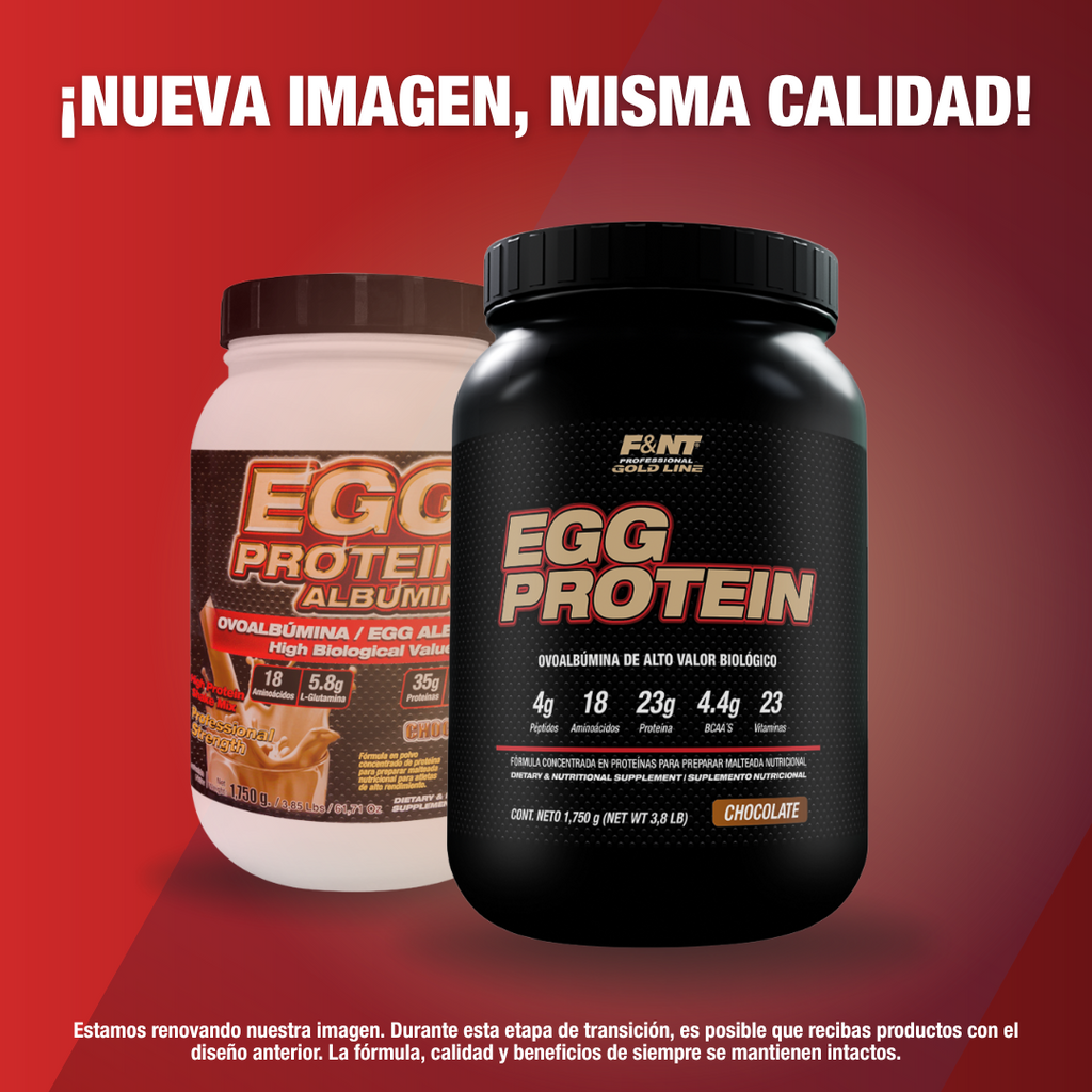 Egg Protein Chocolate