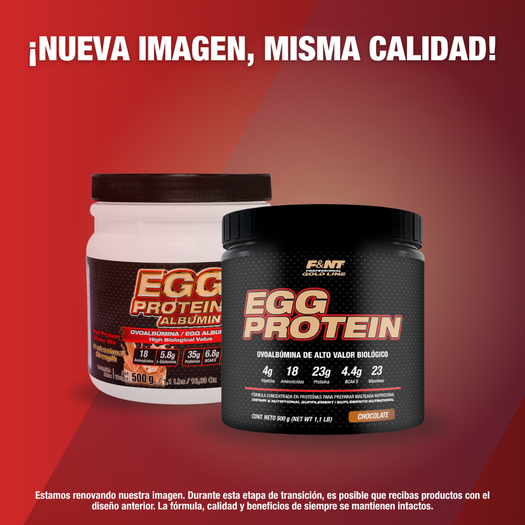Egg Protein Chocolate
