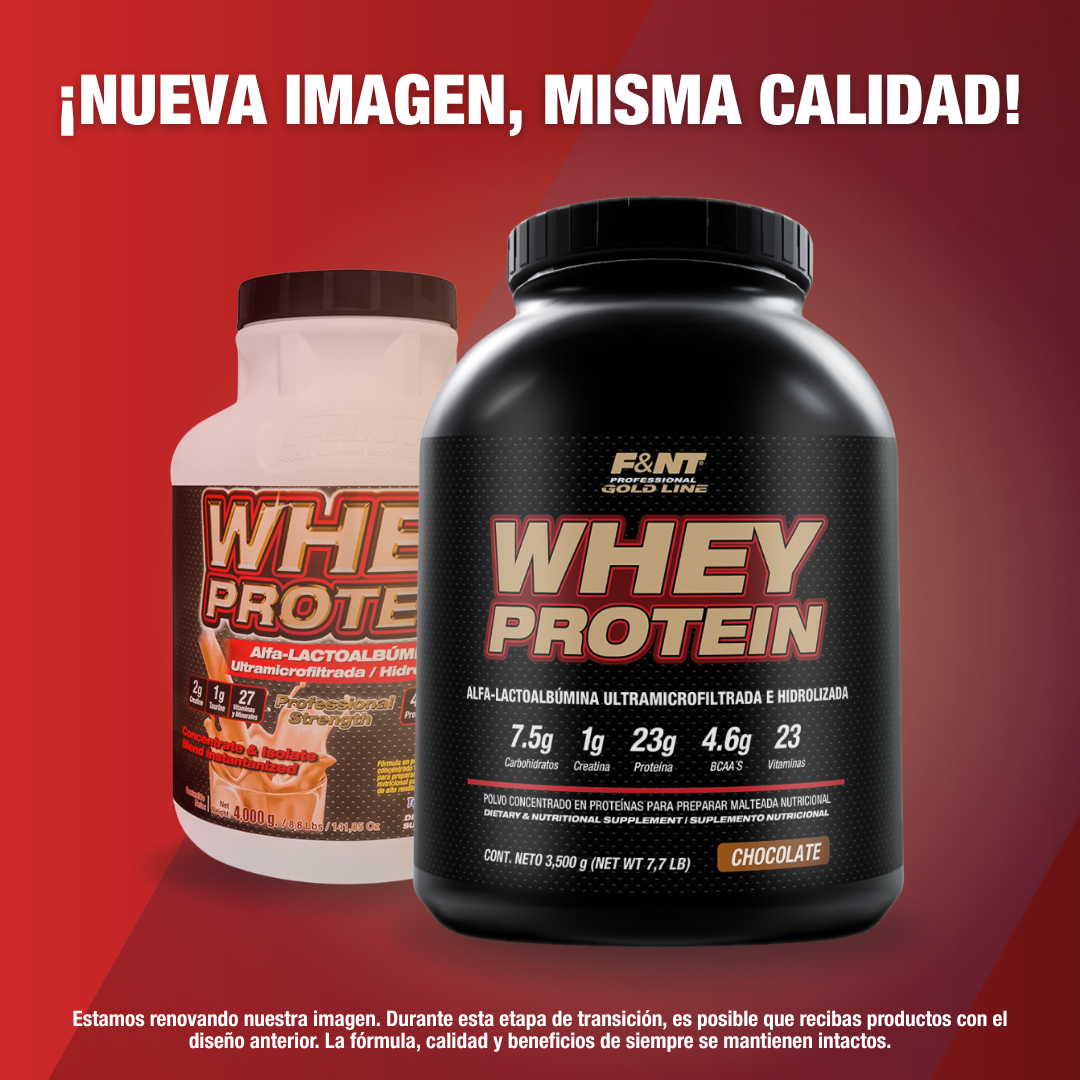 Whey Protein Chocolate